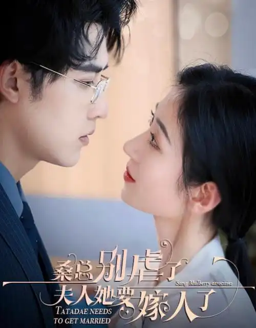 我们的小院都市生活剧全集免费观看